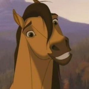 Meet your Posher, Yoselin